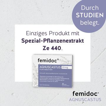 femidoc® AGNUSCASTUS  20 MG - FILMTABLETTEN 90 ST – Packungsbild