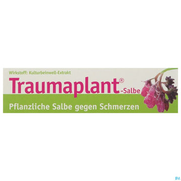 Hws Traumaplant Salbe 100ml