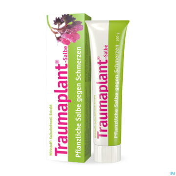Hws Traumaplant Salbe 100ml 100 G – Packungsbild