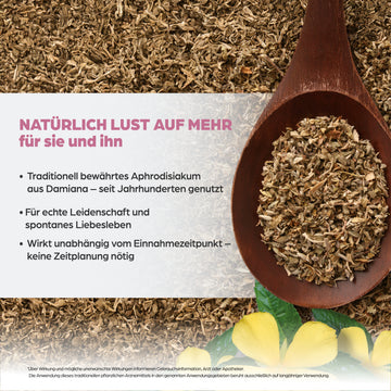 Dr. Böhm Damiana 60 ST – Packungsbild