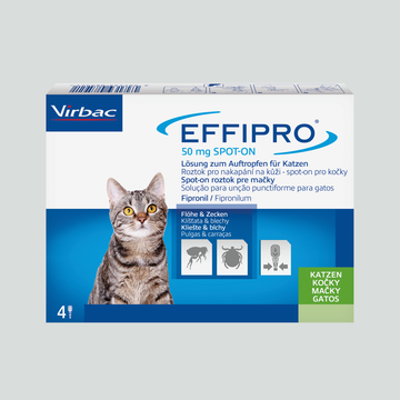 Effipro 50mg Lösung zum Auftropfen für Katzen 4 ST – Packungsbild