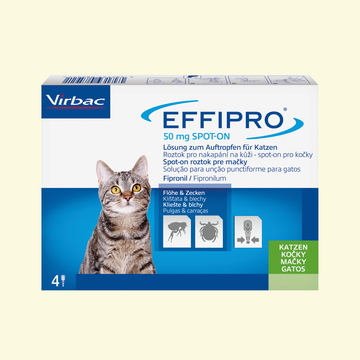 Effipro 50mg Lösung zum Auftropfen für Katzen 4 ST – Packungsbild