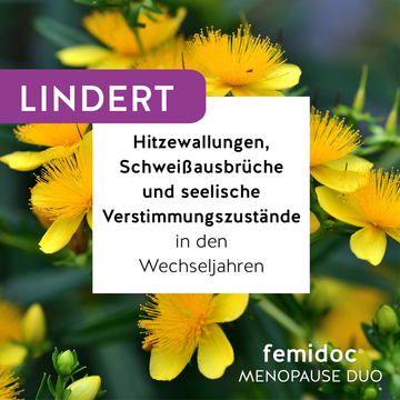 femidoc® MENOPAUSE DUO Dragees 30 ST – Packungsbild