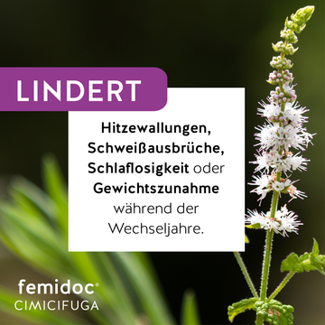femidoc CIMICIFUGA 13 mg Filmtabletten 30 ST – Packungsbild